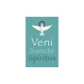 Image de confirmation - Veni Sancte Spiritus