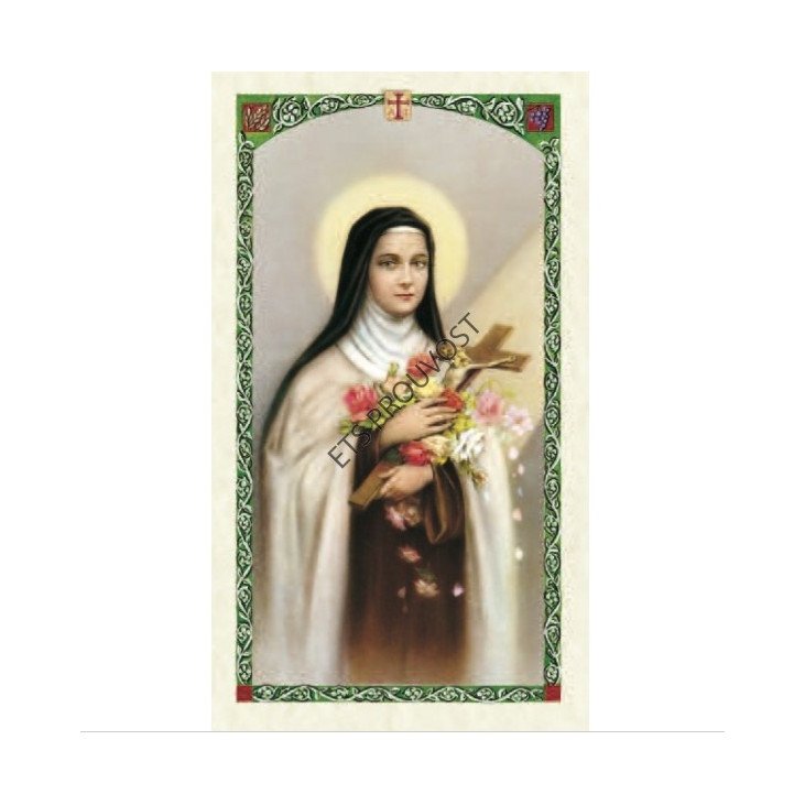 Carte Saint Patron avec prière - plastifiée