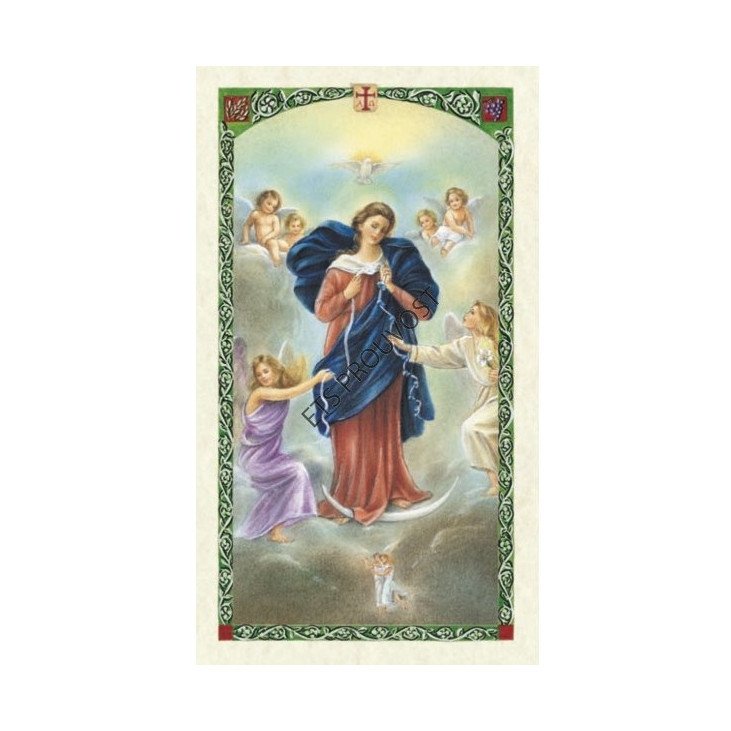 Carte Saint Patron avec prière - plastifiée