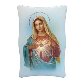 Cadre du Sacré Cœur de Marie