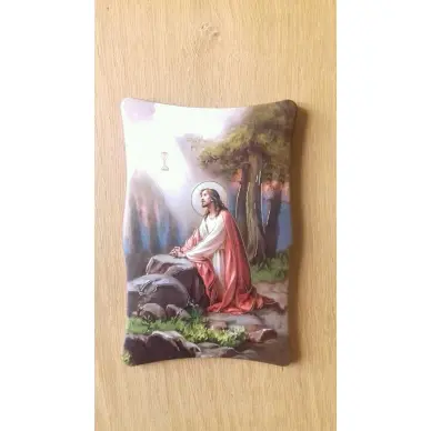 Cadre du Christ en Prière