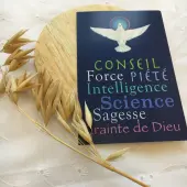 Image de confirmation - 7 dons colombe - 1