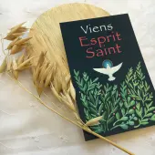 Image de confirmation - Viens Esprit Saint - 1