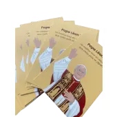 Image du Pape Leon XIV - 2