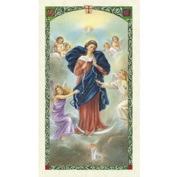 Carte Saint Patron avec prière - plastifiée