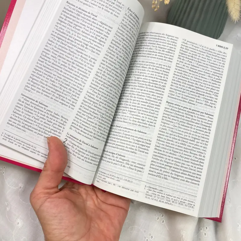La Bible, reliure souple rose